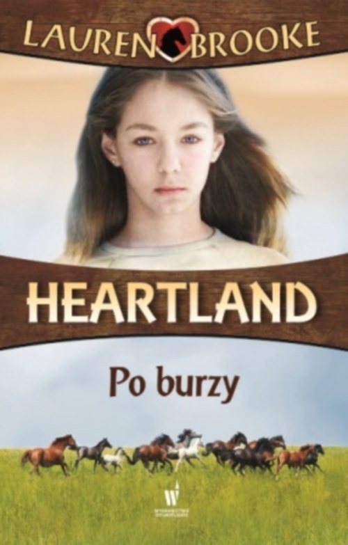 okładka Heartland 2. Po burzy książka | Lauren Brooke