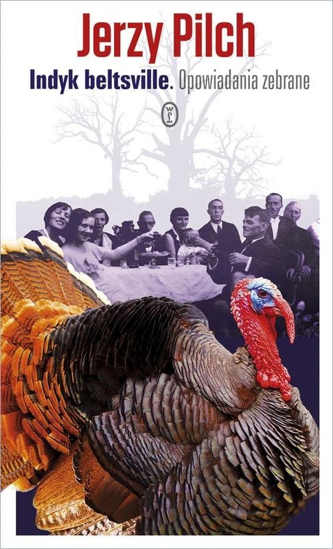 okładka Indyk beltsville. Opowiadania zebrane książka | Jerzy Pilch