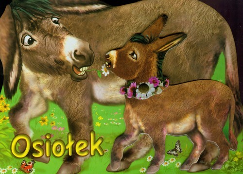 okładka Osiołek książka | Rafał Wejner