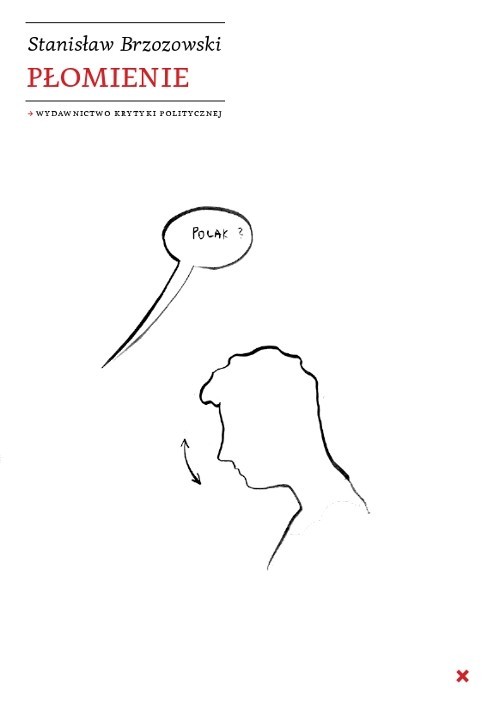 okładka Płomienie książka | Stanisław Brzozowski