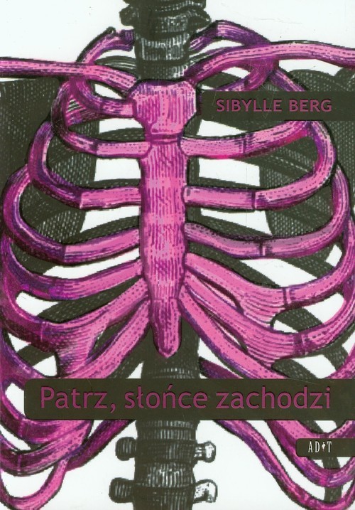 okładka Patrz słońce zachodzi książka | Berg Sibylle