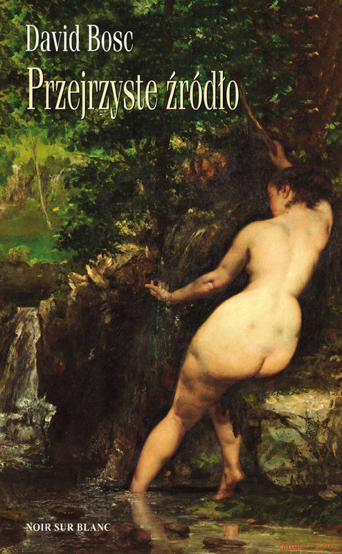 okładka Przejrzyste źródło książka | David Bosc