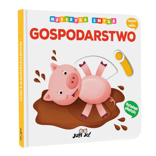 okładka Motoryka Smyka Gospodarstwo książka | Nigelli Benedetta