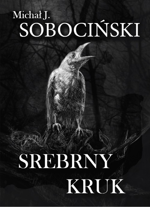 okładka Srebrny Kruk książka | Sobociński Michał