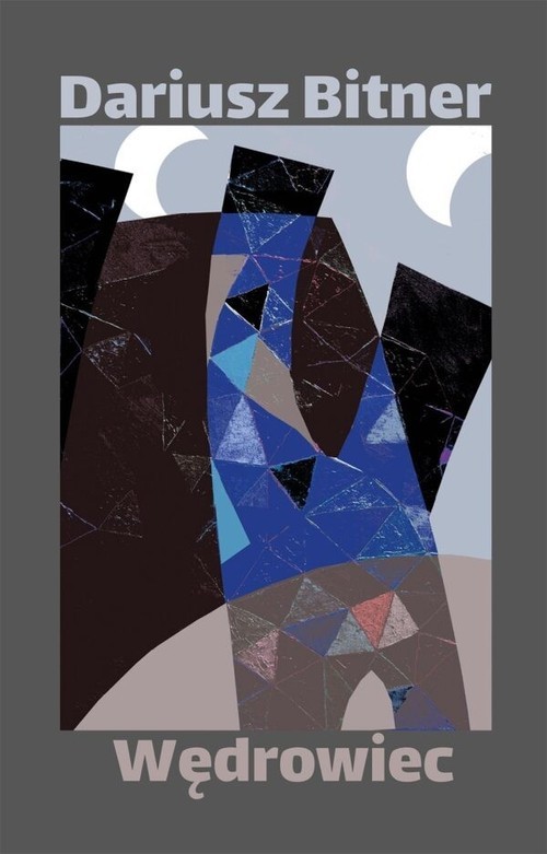okładka Wędrowiec książka | Bitner Dariusz