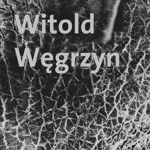 okładka Witold Węgrzyn Nieuchwytna materialność książka | Węgrzyn Witold