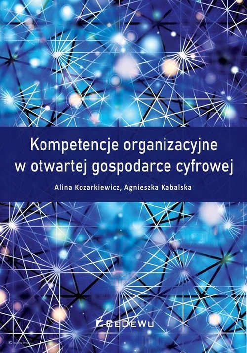 okładka Kompetencje organizacyjne w otwartej gospodarce cyfrowej książka | organizacyjne w otwartej gospodarce cyfrowej Kompetencje