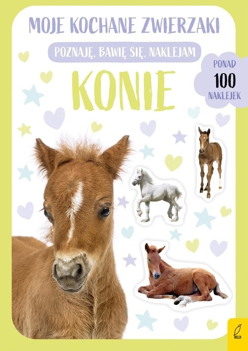 okładka Moje kochane zwierzaki Konie książka