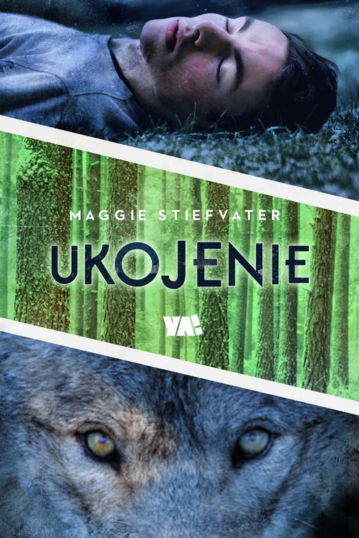 okładka Ukojenie ebook | epub, mobi | Maggie Stiefvater