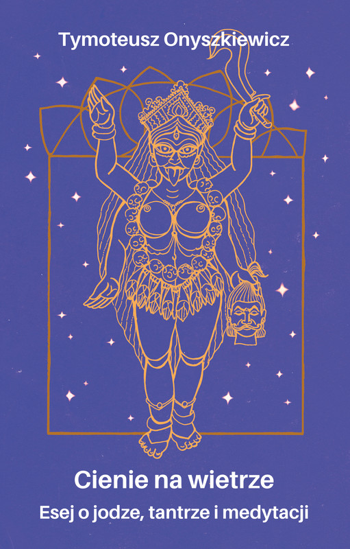okładka Cienie na wietrze ebook | epub, mobi | Tymoteusz Onyszkiewicz