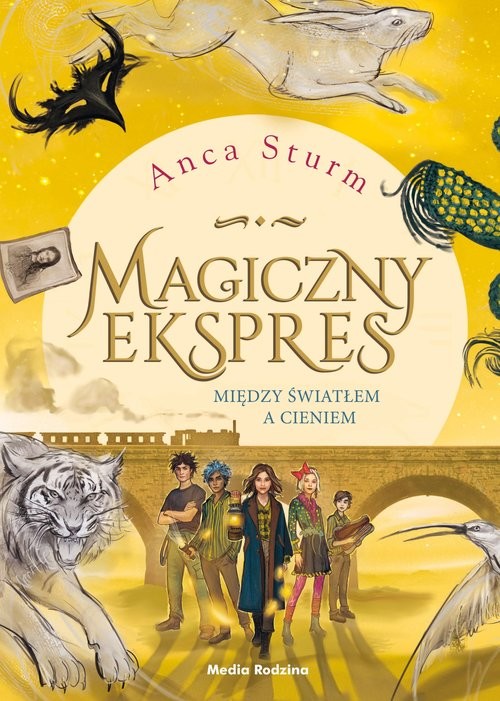 okładka Magiczny ekspres 2. Między światłem a cieniem książka | Anca Sturm