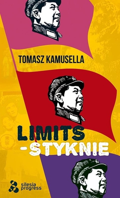 okładka Styknie / Limits / Silesia Progress książka | Tomasz Kamusella