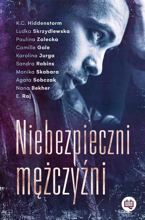 okładka Niebezpieczni mężczyźni książka | K. C. Hiddenstorm, Paulina Zalecka, Camille Gale, E. Raj, Karolina Jurga, Ludka Skrzydlewska, Robin
