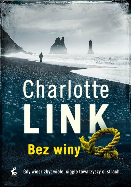 okładka Bez winy książka | Charlotte Link
