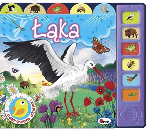 okładka Odkrywam dźwięki Łąka książka | Natalia Kawałko-Dzikowska