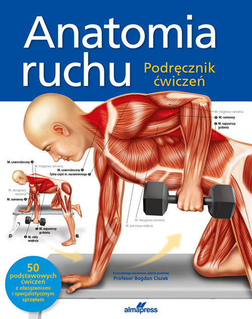 okładka Anatomia ruchu Podręcznik ćwiczeń książka | Ashwell Ken