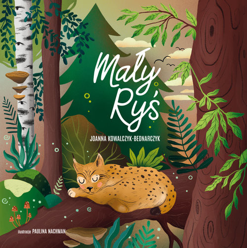 okładka Mały Ryś książka | Joanna Kowalczyk-Bednarczyk