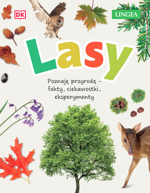 okładka Lasy Poznaję przyrodę - fakty, ciekawostki, eksperymenty książka | Jamie Ambrose