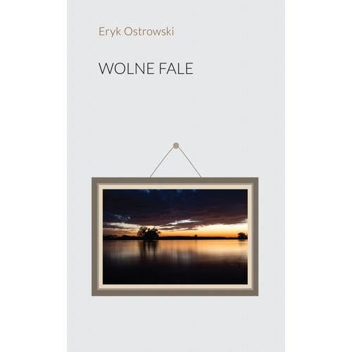 okładka Wolne Fale książka | Eryk Ostrowski