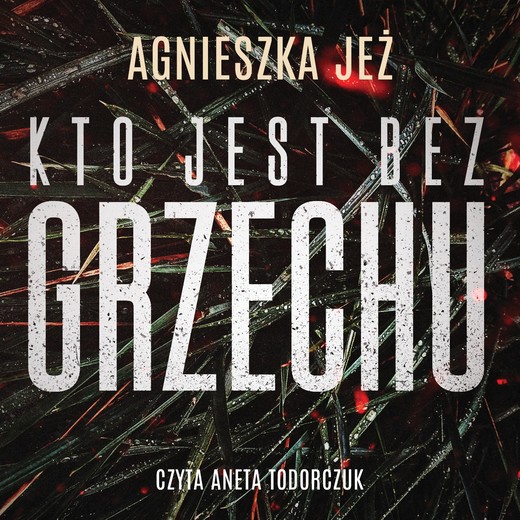 okładka Kto jest bez grzechu audiobook | MP3 | Agnieszka Jeż