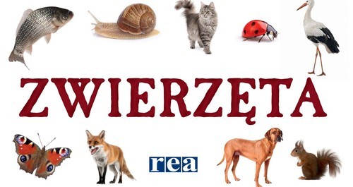 okładka Zwierzęta rozkładanka książka