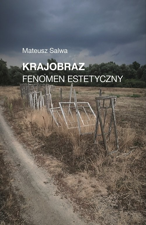 okładka Krajobraz Fenomen estetyczny książka | Salwa Mateusz