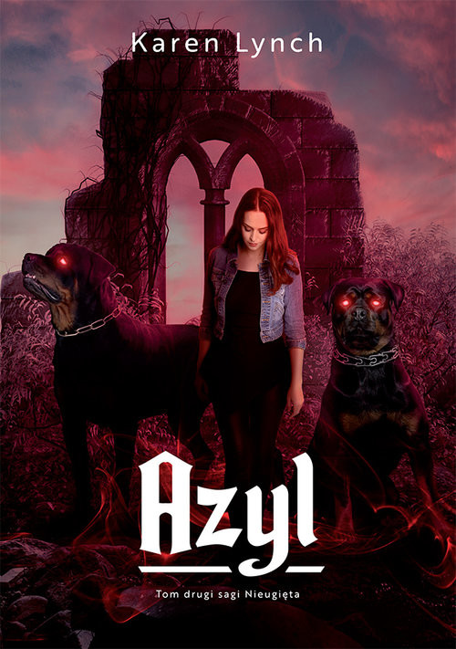 okładka Azyl książka | Karen Lynch