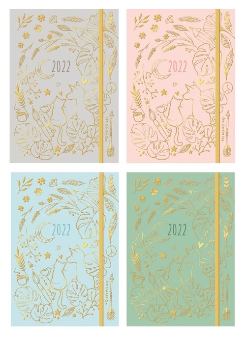 okładka Terminarz wyjątkowej dziewczyny 2022 książka | Justyna Bielecka