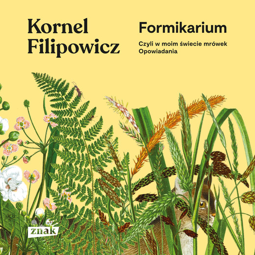 okładka Formikarium, czyli w moim świecie mrówek. Opowiadania audiobook | MP3 | Kornel Filipowicz