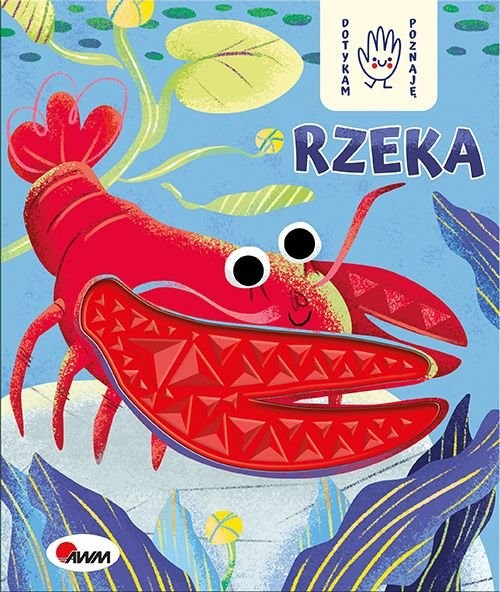 okładka Dotykam poznaję Rzeka książka | Joanna Wiśniewska