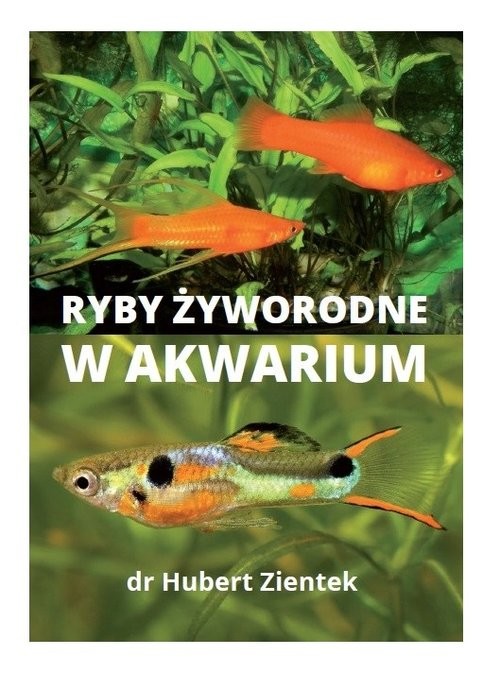 okładka Ryby żyworodne w akwarium książka | Hubert Ziętek