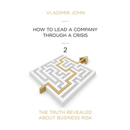 okładka HOW TO GET A COMPANY THROUGH A CRISIS audiobook | MP3 | John Vladimir