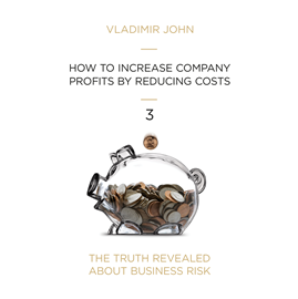 okładka HOW TO INCREASE COMPANY PROFITS BY REDUCING COSTS audiobook | MP3 | John Vladimir