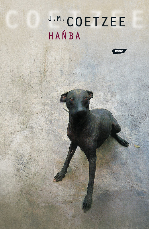 okładka Hańba książka | J. M. Coetzee