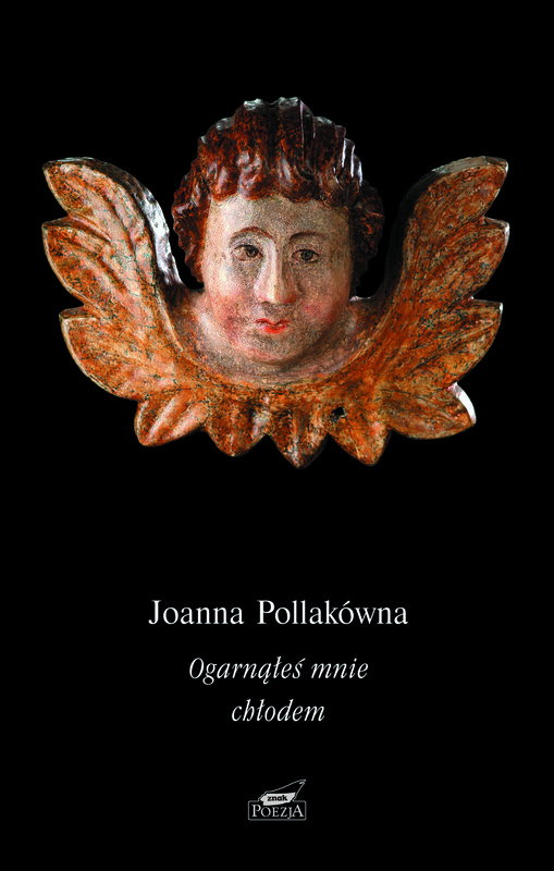 okładka Ogarnąłeś mnie chłodem  książka | Joanna Pollakówna