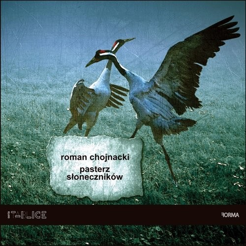 okładka Pasterz słoneczników / Forma książka | Roman Chojnacki