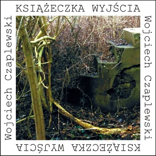 okładka Książeczka wyjścia książka | Wojciech Czaplewski