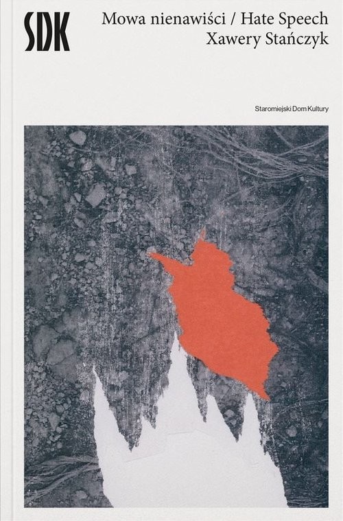 okładka Mowa nienawiści książka | Xawery Stańczyk