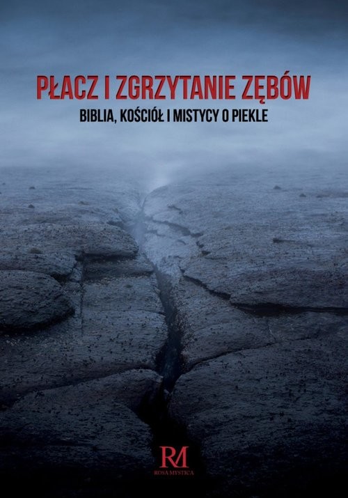 okładka Płacz i zgrzytanie zębów książka | Konrad Czerski