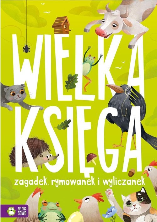 okładka Wielka księga zagadek rymowanek wyliczanek książka