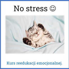 okładka No stress - reedukacja emocjonalna audiobook | MP3 | Sławomir Luter