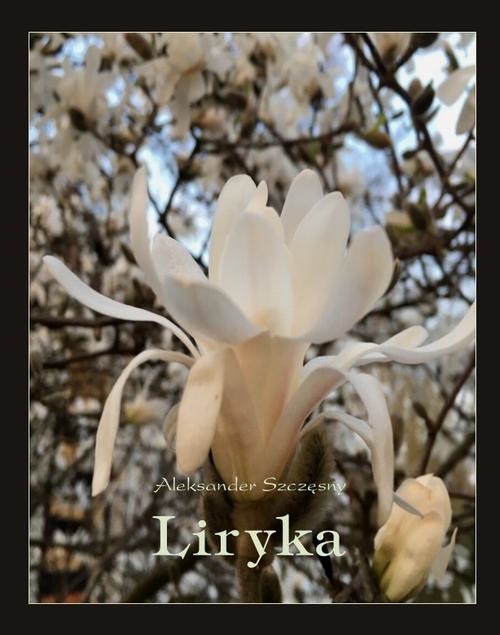 okładka Liryka ebook | epub, mobi | Aleksander Szczęsny