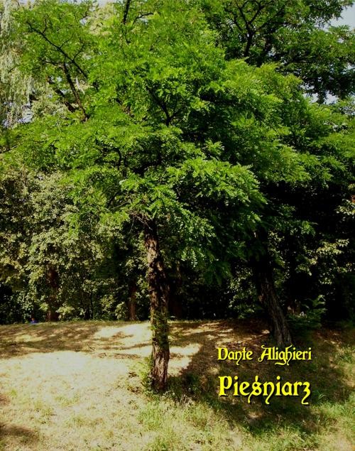 okładka Pieśniarz ebook | epub, mobi | Dante Alighieri