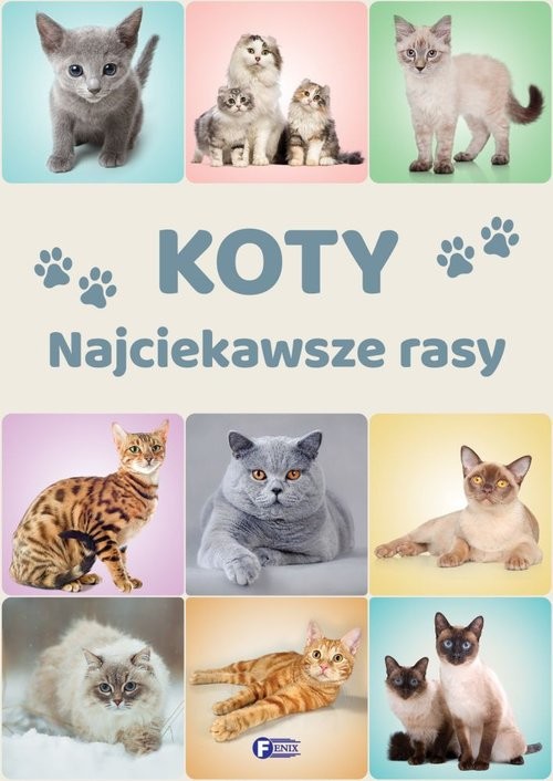 okładka Koty Najciekawsze rasy książka