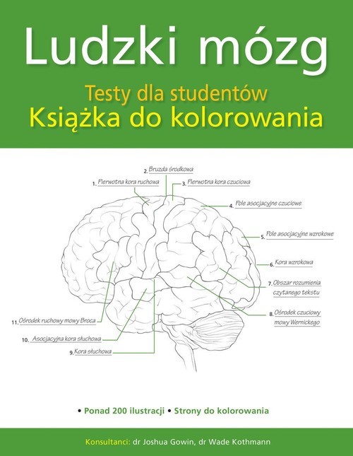 okładka Ludzki mózg Testy dla studentów Książka do kolorowania książka