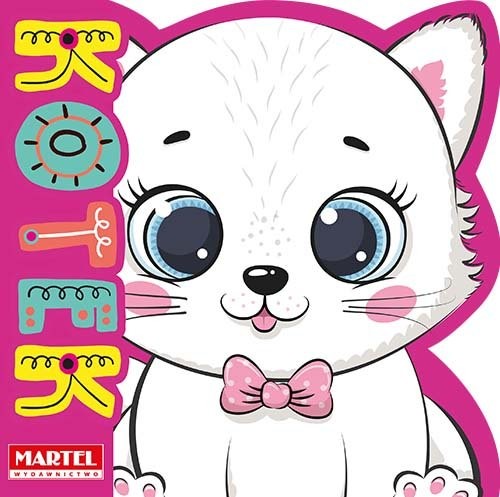 okładka Kotek książka | Salamon Katarzyna