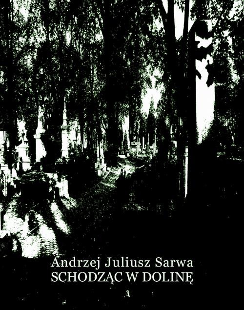 okładka Schodząc w dolinę ebook | epub, mobi | Andrzej Juliusz Sarwa