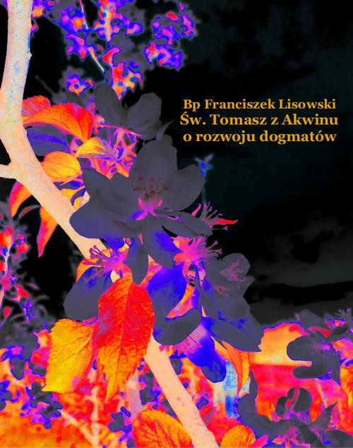 okładka Św. Tomasz z Akwinu o rozwoju dogmatów ebook | epub, mobi | Franciszek Lisowski