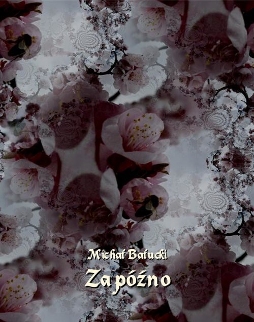 okładka Za późno. Nowela ebook | epub, mobi | Michał Bałucki