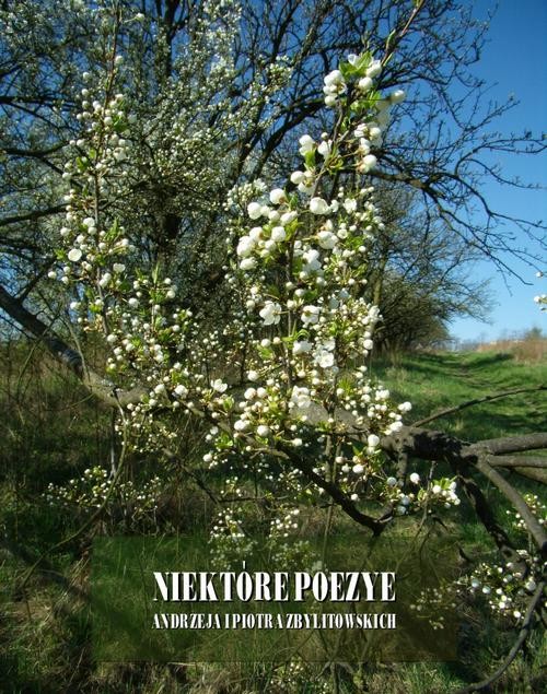 okładka Niektóre poezye Andrzeja i Piotra Zbylitowskich ebook | epub, mobi | Andrzej Zbylitowski, Piotr Zbylitowski